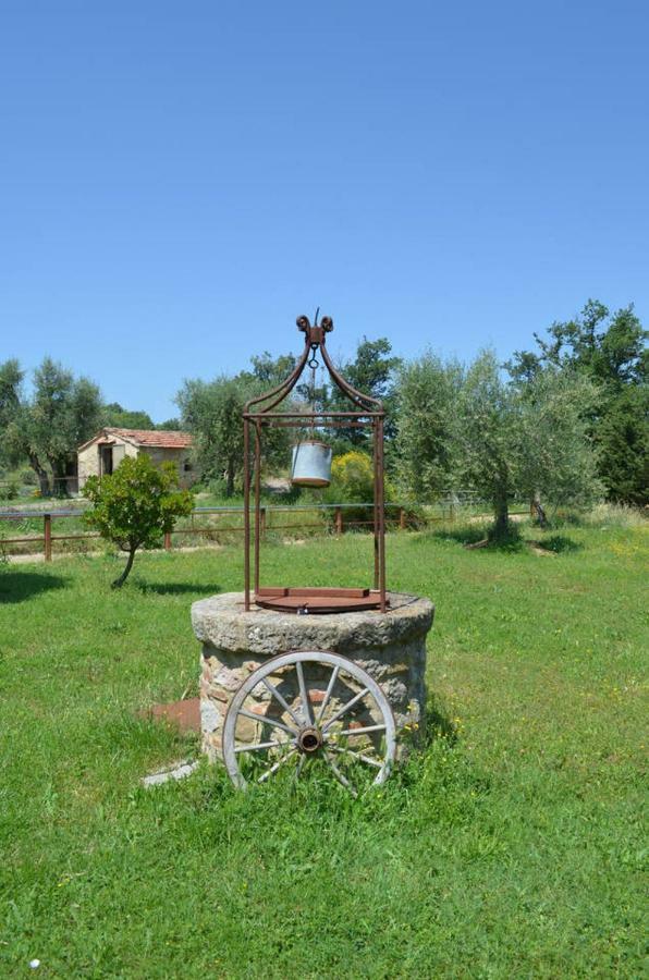 منزل الضيف Seggiano  في La Casina Degli Olivi المظهر الخارجي الصورة